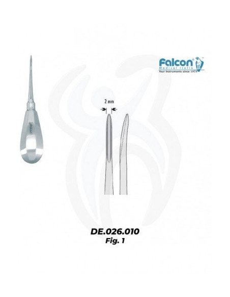 Bein Curvo 2mm, 1