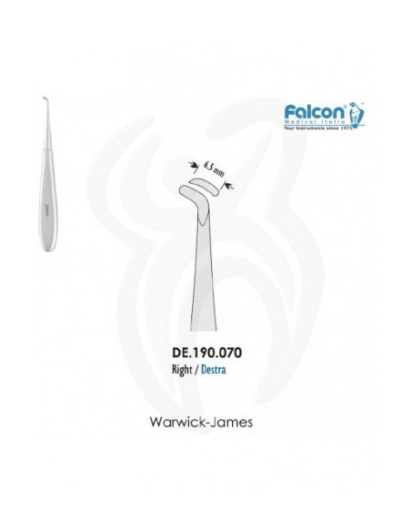 Warwick-James Direita 6.5mm