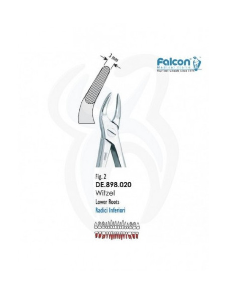 Fórcep Witzel 2