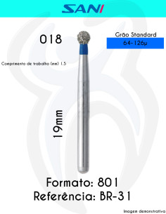 801 BR-31