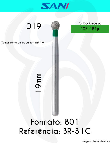 801 BR-31C