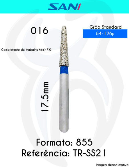 855 TR-SS21