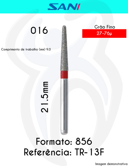 856 TR-13F