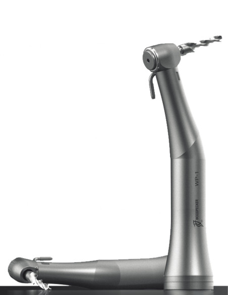 WP-1