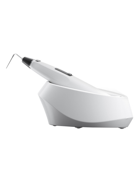 Fi-P White