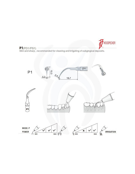 P - Periodontia - Woodpecker (EMS)