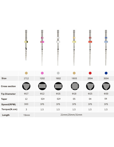 SC-PLUS Sistema de Limas NiTi (21mm)