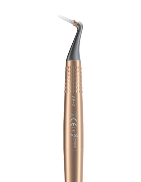 Punho AP-2
