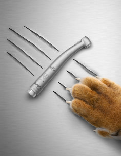 Turbina W&H Synea Fusion TG-98 L com RQ-24 | Foquim Dental 2