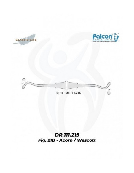 Brunidor Acorn / Wescott 21B