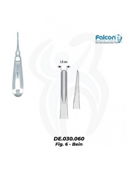 Bein 3.8mm, 6