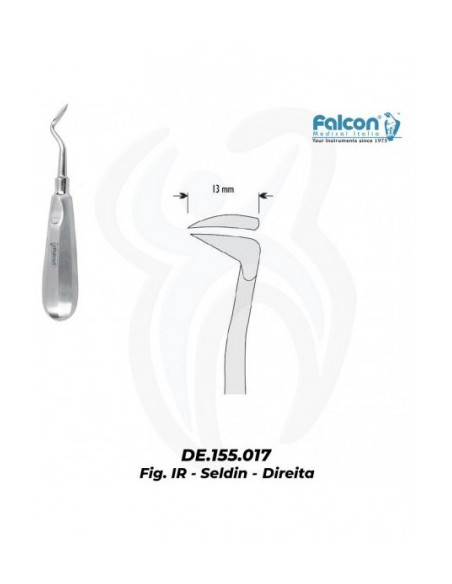 Seldin Direita 13mm, 1R