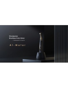 Ai-Motor (Redesenhado para... 2