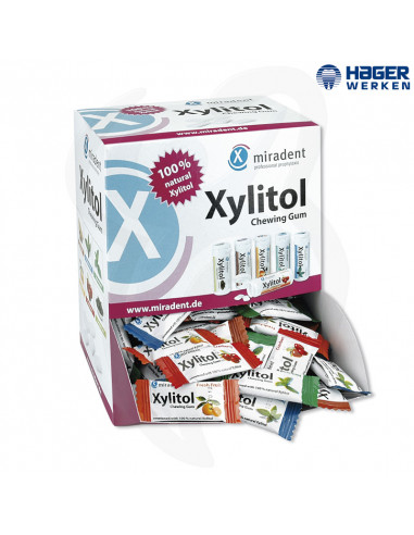 Xylitol Chewing Gum - pastilhas elásticas