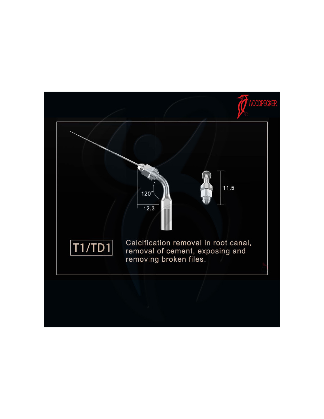 Kit Endo Dr. Talal AlNahlawi Woodpecker