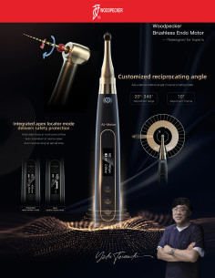 Ai-Motor (Redesenhado para...