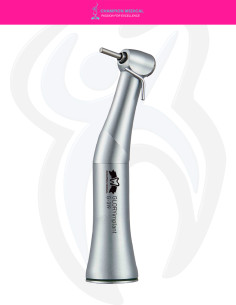 Implantes GLORYinner G-319