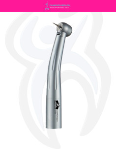 Champion Torque C-004 (KaVo)