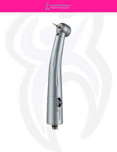 Champion Torque C-006 (NSK)